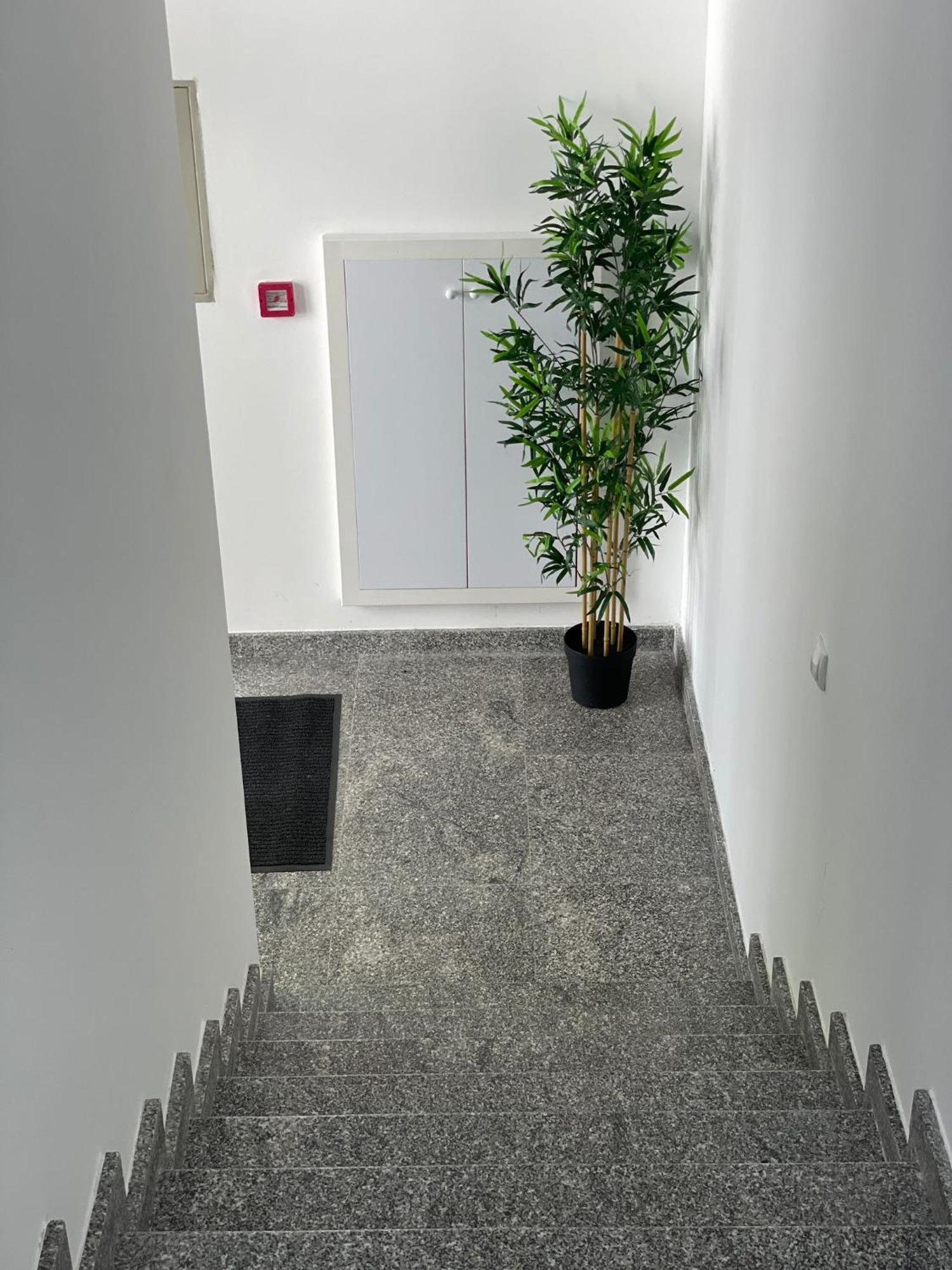 Morpheus Apartmani Sremska Mitrovica Bagian luar foto